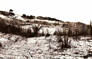 EL ANCOR MADRAGUE LES ANDALOUSES  (35)
